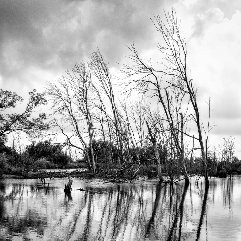 waalrob's tweet photo. Vandaag nieuwe content toegevoegd aan mijn fotowebsite, zie: https://t.co/Qc2JdG555I
Landscape, black and white, birds etc. https://t.co/znzkJDRRBO