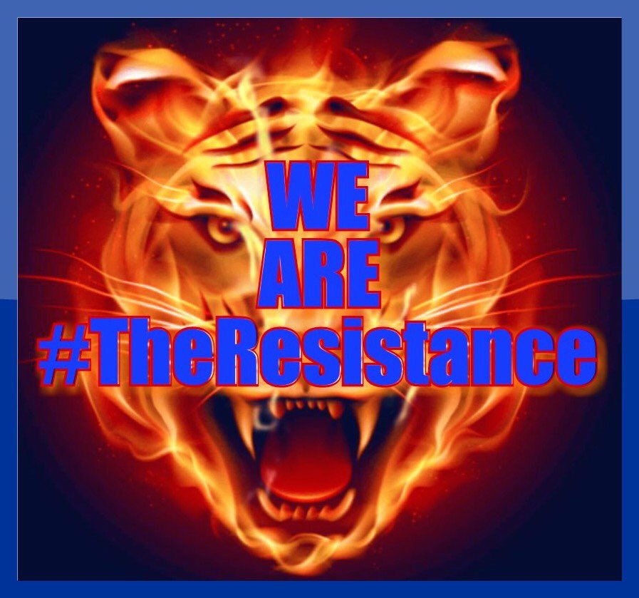 JerryCallaio tweet media