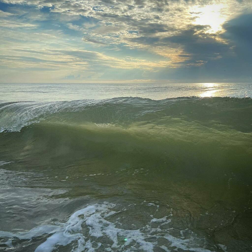 Cape Fear Gear tweet media