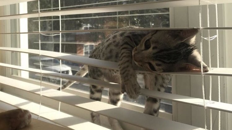 2hr00min tweet media