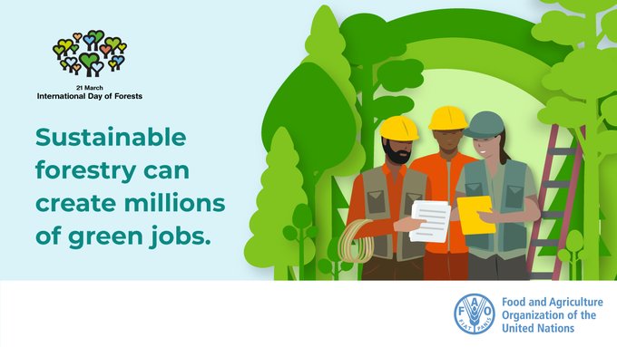 FAOForestry's tweet photo. Sustainable forestry can create millions of green jobs. https://t.co/XI8cE2NIr4
