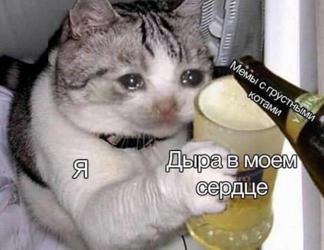 so_mad_so_funny's tweet photo. https://t.co/pEatPk4u60
