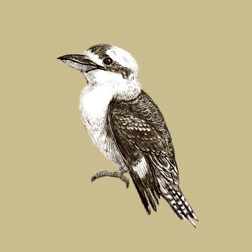 カワスイ屋台のtwitterイラスト検索結果