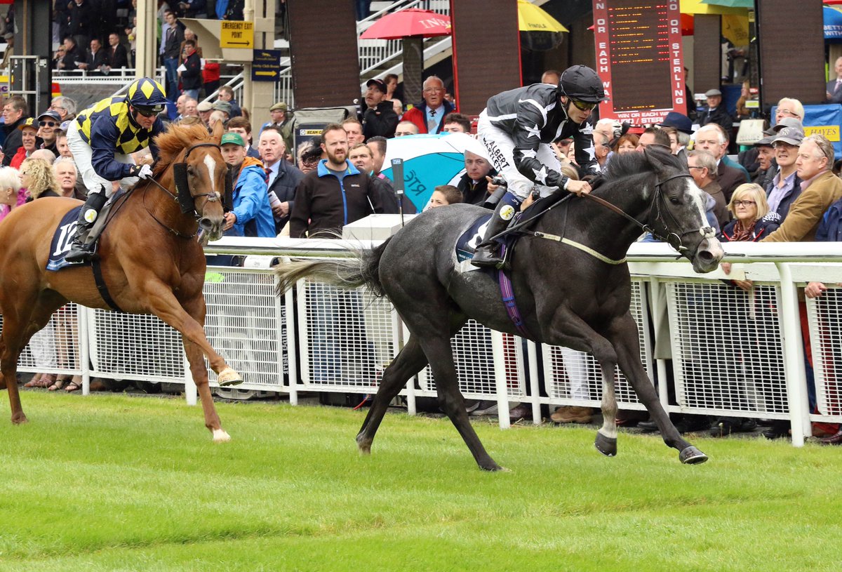 kevinblake2011's tweet photo. The mighty George Bowen has been retired, per his owner @MickScaife1959. He has given us all here so much joy over the years. We'll miss him racing, but are delighted he has retired sound and will try dressage now. Thanks to all at @RichardFahey's for keeping him so sweet. #hero https://t.co/zY8n78I941