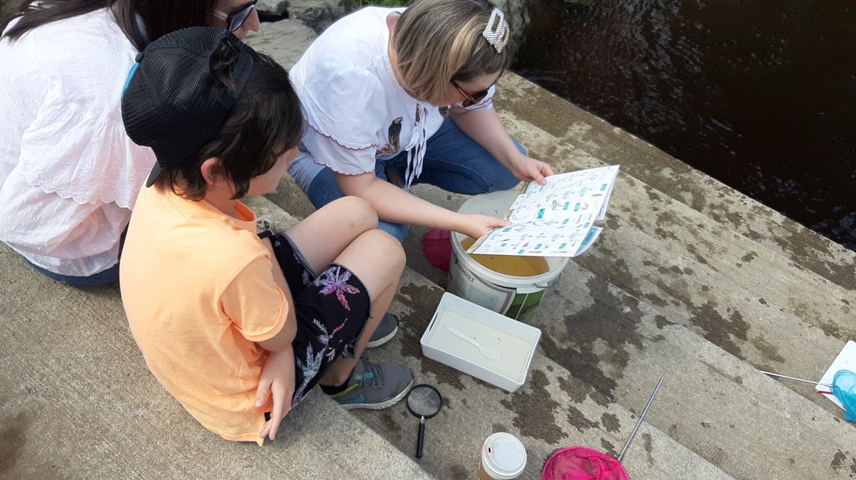 clonmelapplefe1's tweet photo. Great fun to be had with nets at the #suircan bughunt part of water sampling project. @WatersProgramme @clonmeltidytown @HeritageWeek https://t.co/cz0FmSwzhz