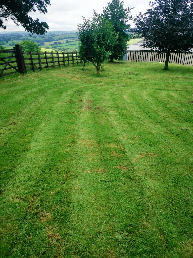 EvsNo8's tweet image. Give me a call.. I will be ready and happy to help at next years tennis champs #grasscutter @Wimbledon @LawnTennisBaskt 🎾