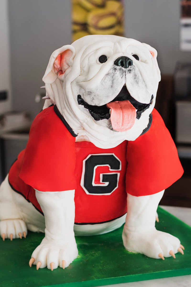 ms__awesome28's tweet photo. Check out this CAKE made by my daughter! #artist #cakeart #Bulldogs #photography #UGA @GeorgiaFootball @UGAAthletics @UGAfootballLive @ugaalumniassoc @UGAGymnastics @KirbySmartUGA @DawgNation @UGAFans @Bulldogs #GeorgiaFans #GeorgiaFootball #GoDawgs #mascots #collegefootball https://t.co/bdnXahDqyc