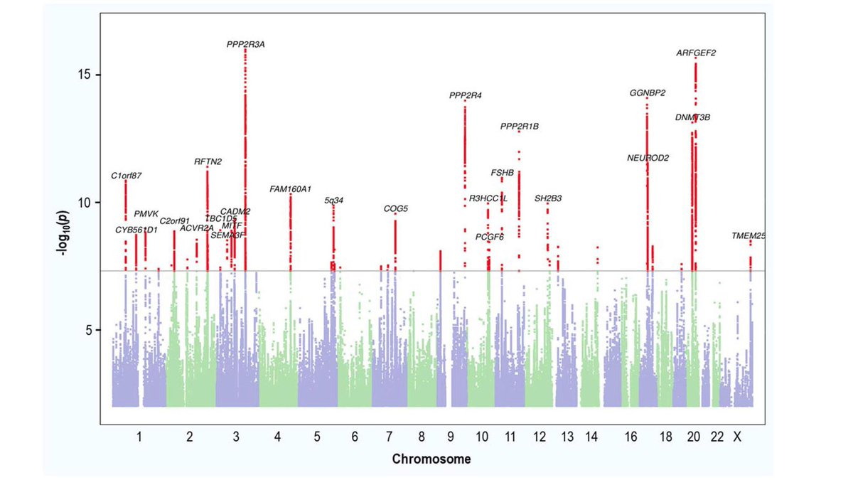 ProfSimonFisher's tweet photo. Shaking up the genetic landscape of dyslexia. Our new preprint describes DNA analysis in 51,800 adults with dyslexia diagnosis &amp; >1 million people without a diagnosis, finding 42 independent loci that harbour common variants associated with the trait. https://t.co/QJ9zjtZsZM 1/n https://t.co/AACFi8ygm6