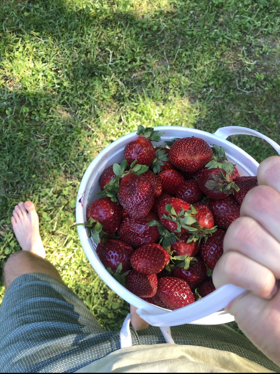 nastychildd's tweet photo. 🍓 https://t.co/D5DfzPePf5