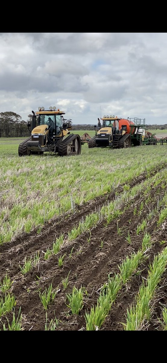 JohnHarding1963's tweet photo. Nearly 1000hp to reseeding wheat at Needilup https://t.co/RUmjmAAUoL