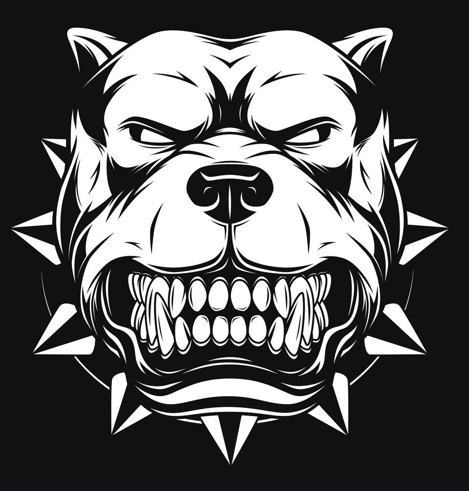 CoachTinich's tweet photo. WarDogs had a night on Friday! Let’s keep it going! #TLFootball #DLine #AlwaysHungry #WeBeforeMe https://t.co/G8thS0HtsI