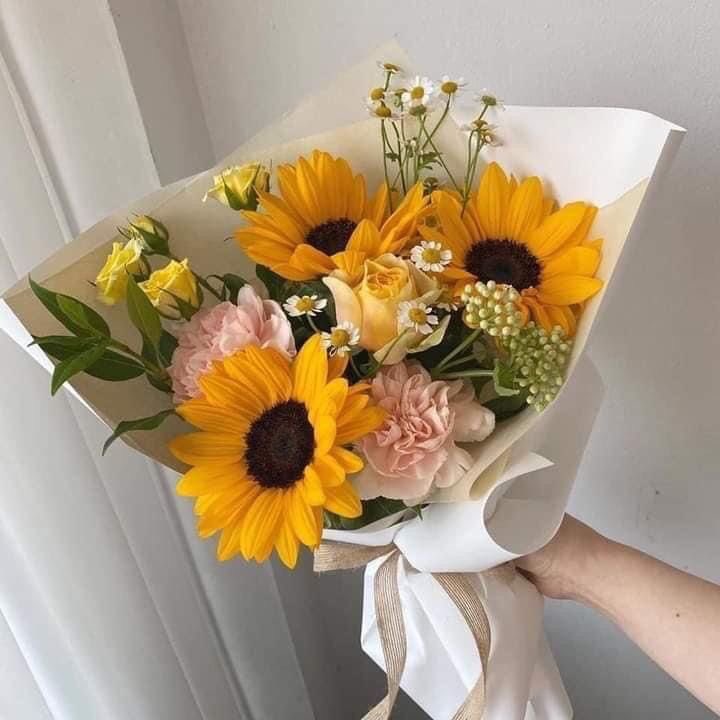 Aesthetics (@aestheticspost_) on Twitter photo 