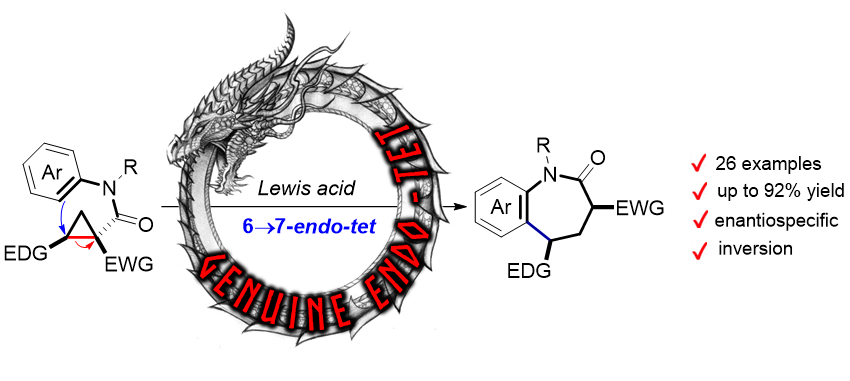 A detailed post about 6-&gt;7 endo-tet cyclizations of D-A cyclopropanes by <a href="/IAlabugin/">Igor Alabugin</a>:
m.facebook.com/story.php?stor…