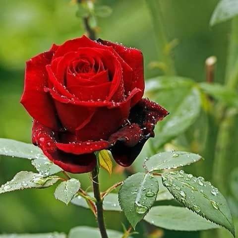 🧡DERYA💛 tweet media