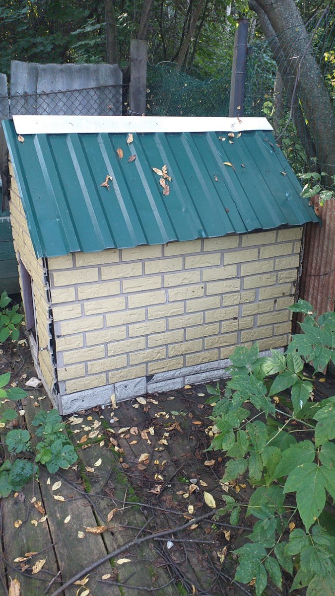 Мила Пим tweet media