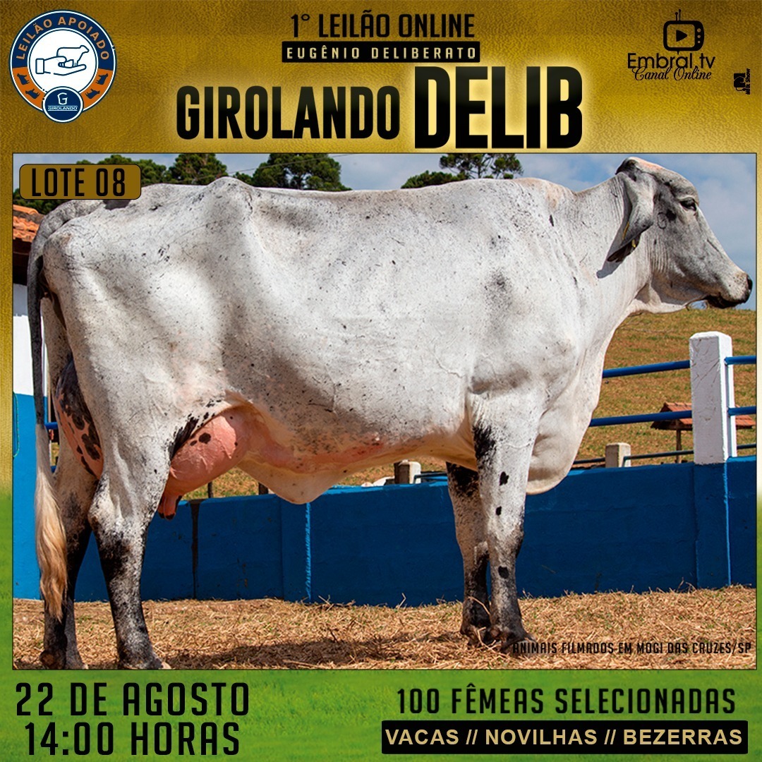 embralleiloes's tweet photo. 1º Leilão On Line Girolando Delib
22 de Agosto - 14 Horas
#embralleiloes #embral #embraltv #lideremgadodeleite #leilaoéaqui #girolando #girolandobrasil #vacadeleite #leite #leilao #leilaoonline #juntossomosmaisfortes #oagronaopara #leilaodegado #gado #embral41anos https://t.co/T4oaUQmpRH