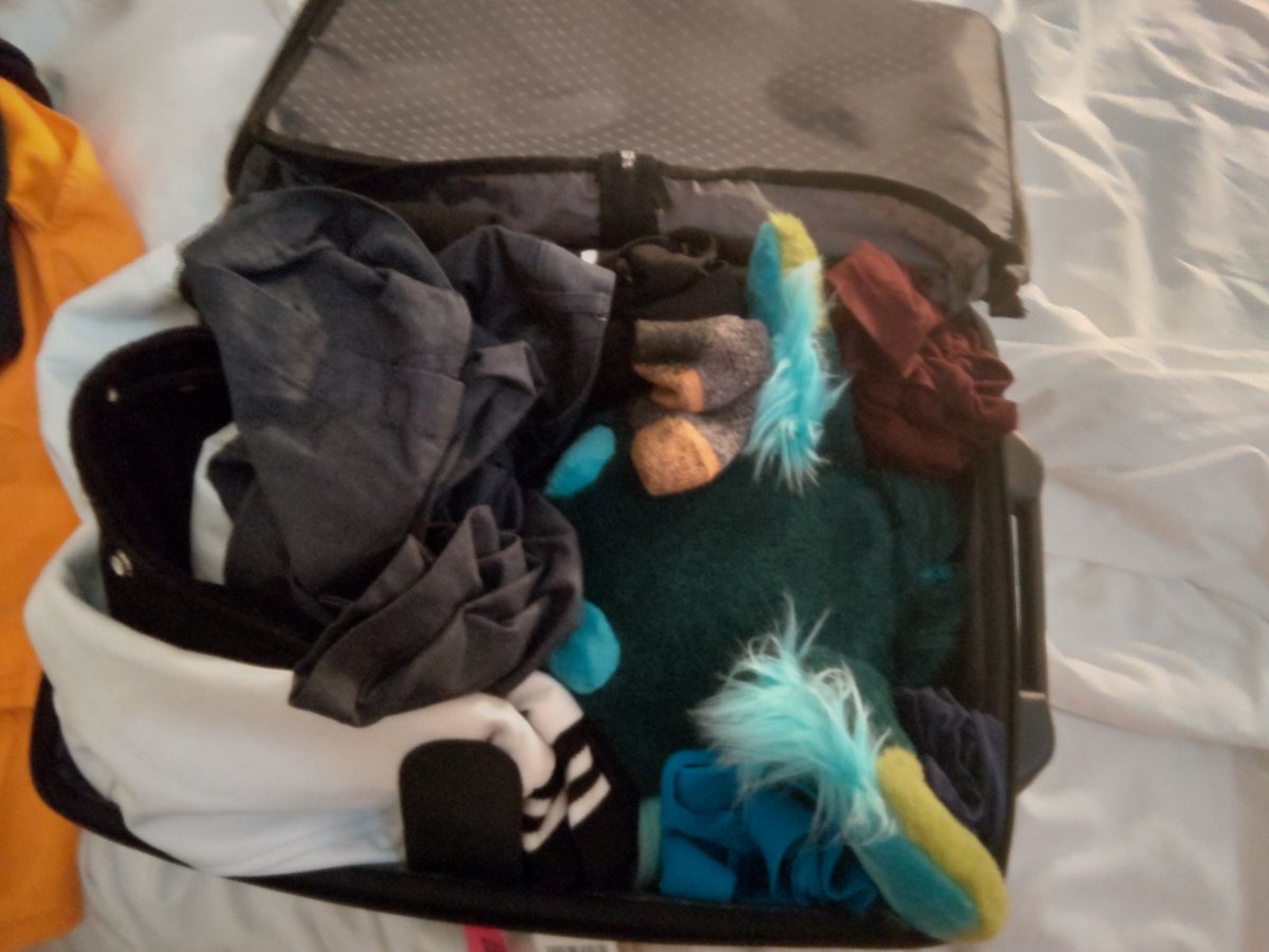 SCorsc's tweet photo. This gay dog likes sniffing dirty clothes. Look at this slut. https://t.co/JtT4sD3mIR