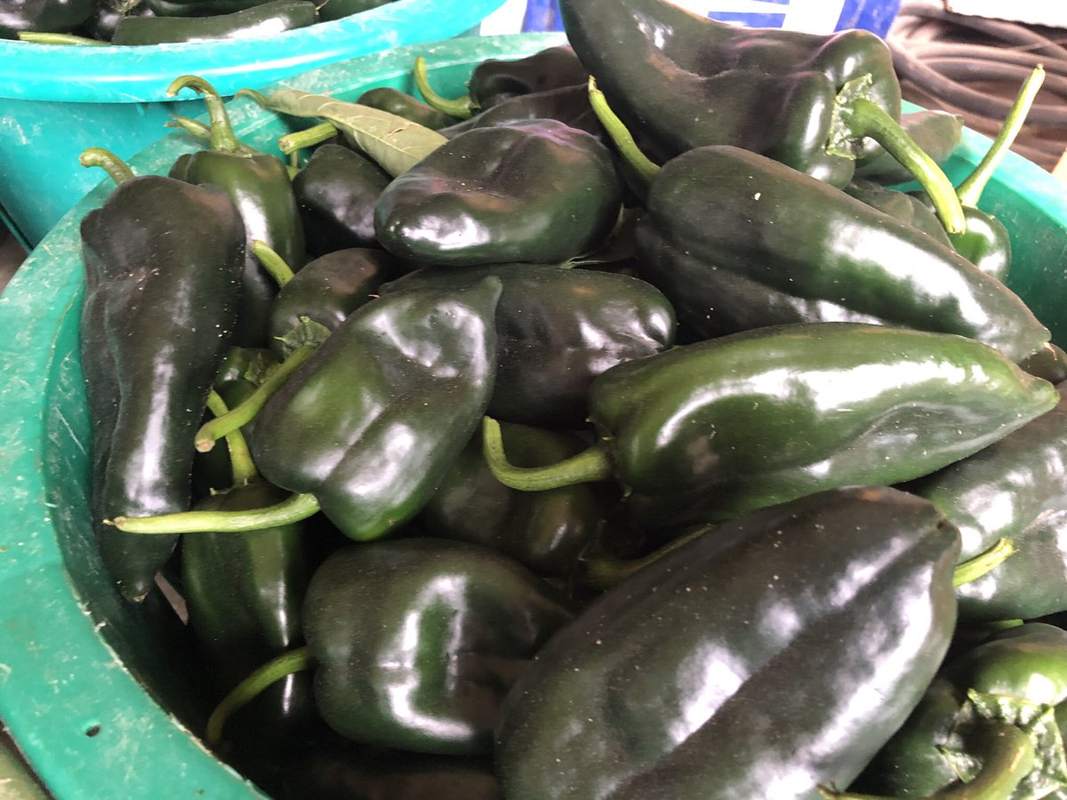 Peppers! Find them at your local farmers market. Marylandbest.net