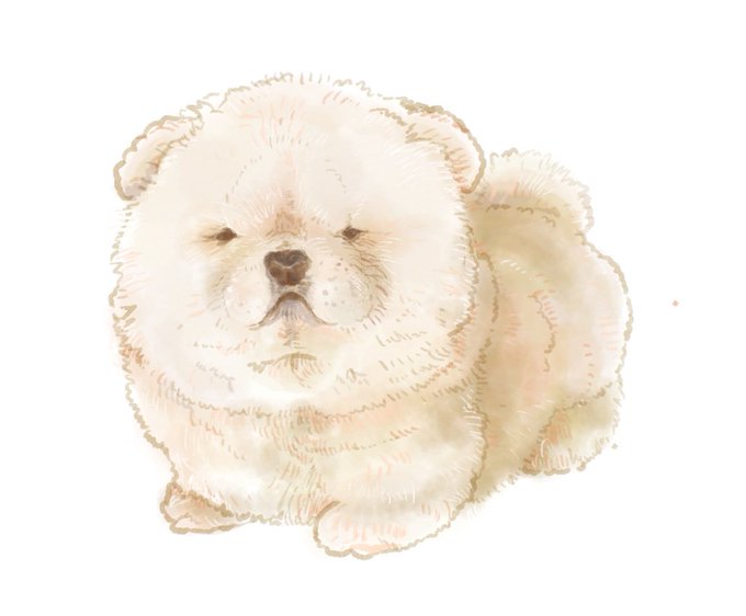チャウチャウのtwitterイラスト検索結果 古い順