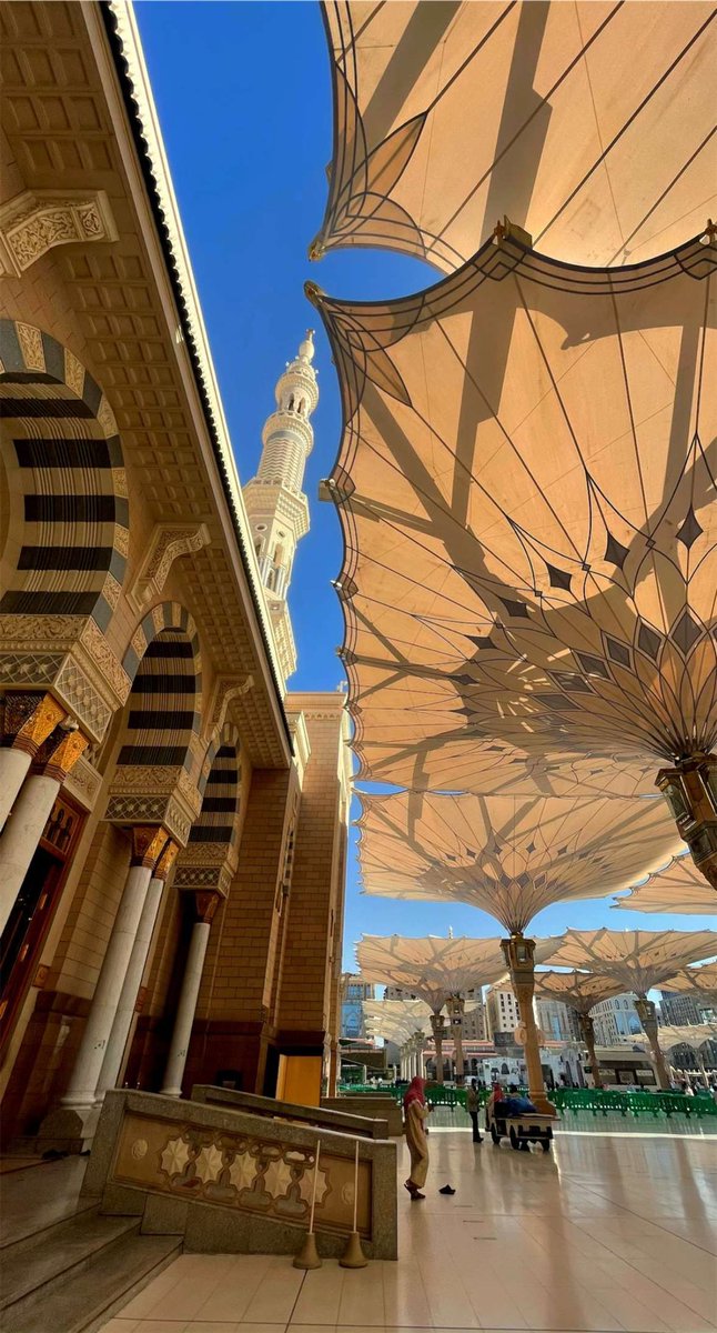 لقطات من الحرم النبوي الشريف 
🕌
بالمدينة المنورة 
طيبة الطيبة 
على ساكنها افضل الصلاة و السلام 

بعدستي 📸
#هاني_الصبحي 
.