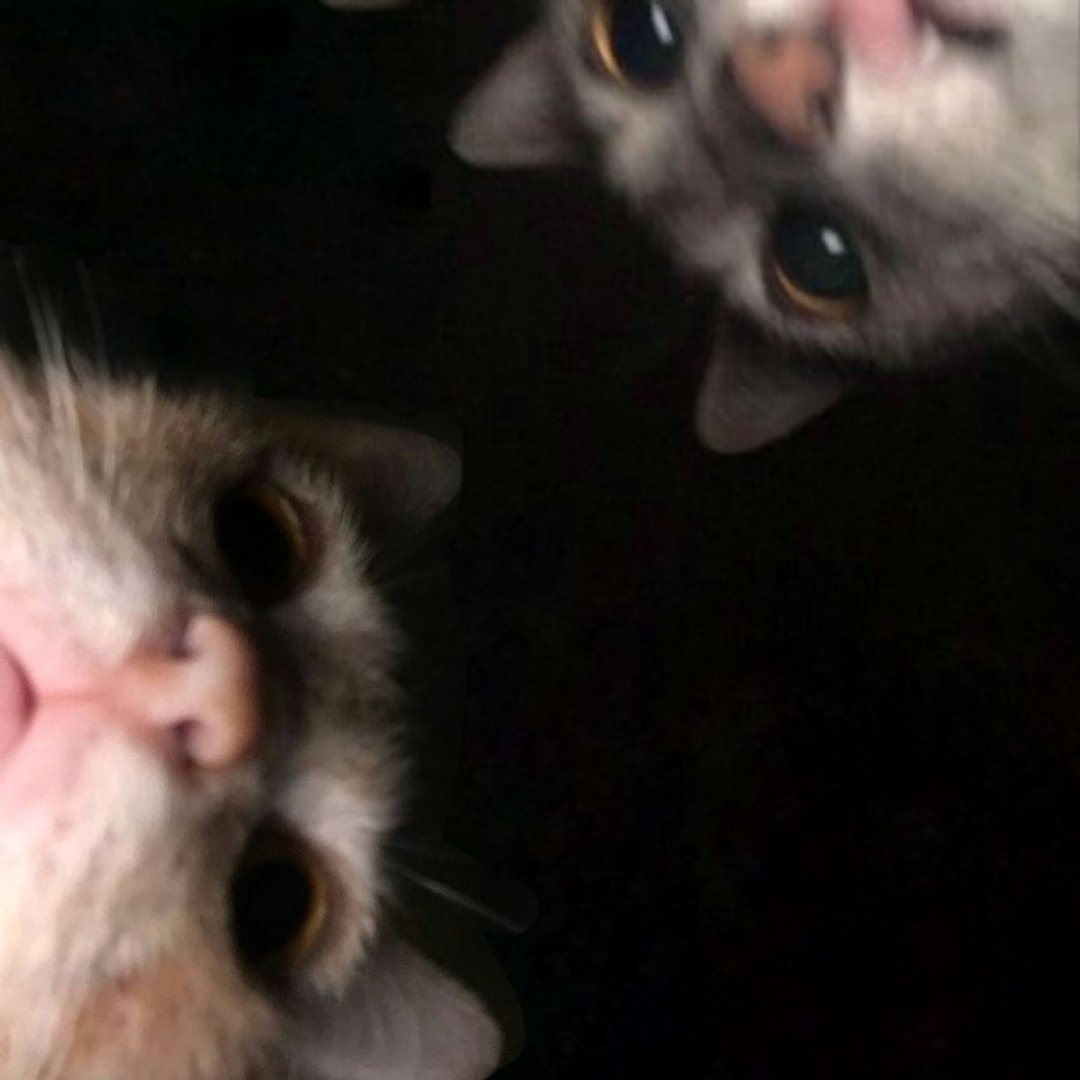 💭 (@drewlynthinker) on Twitter photo 