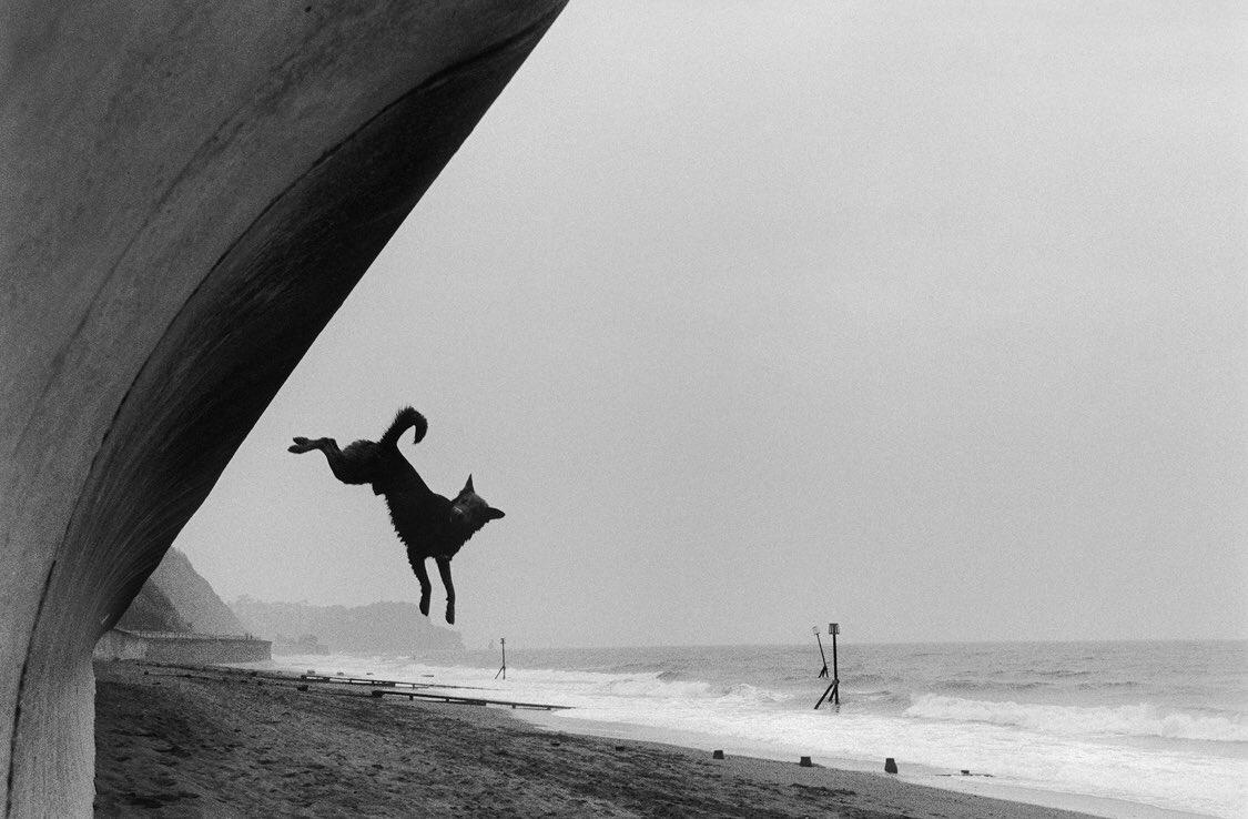 Roger Deakins. Still photography.