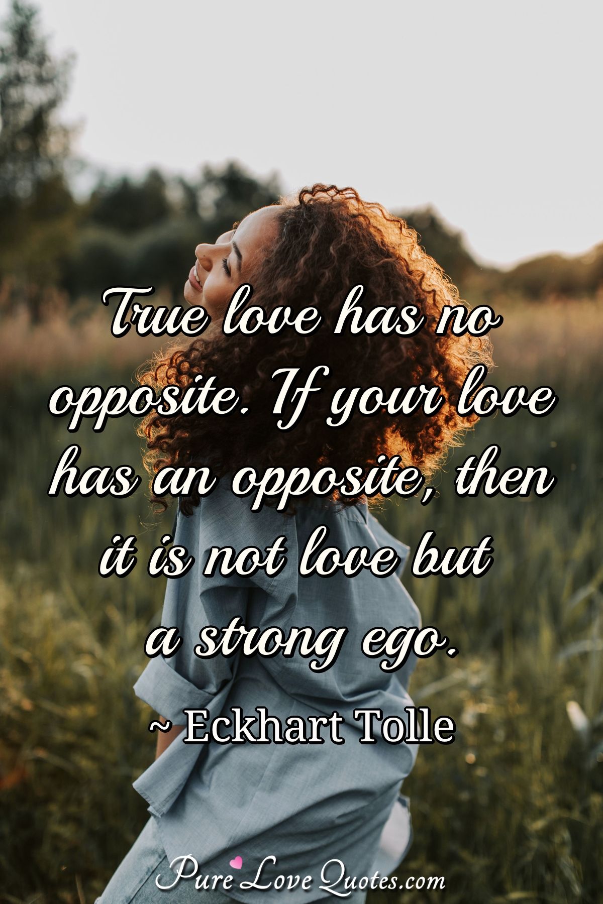 Pure Love Is True Love - Love Quotes