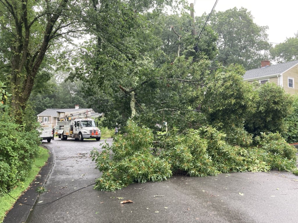 Power outages/tree down Everett Street in Abington from tropical storm Henri.