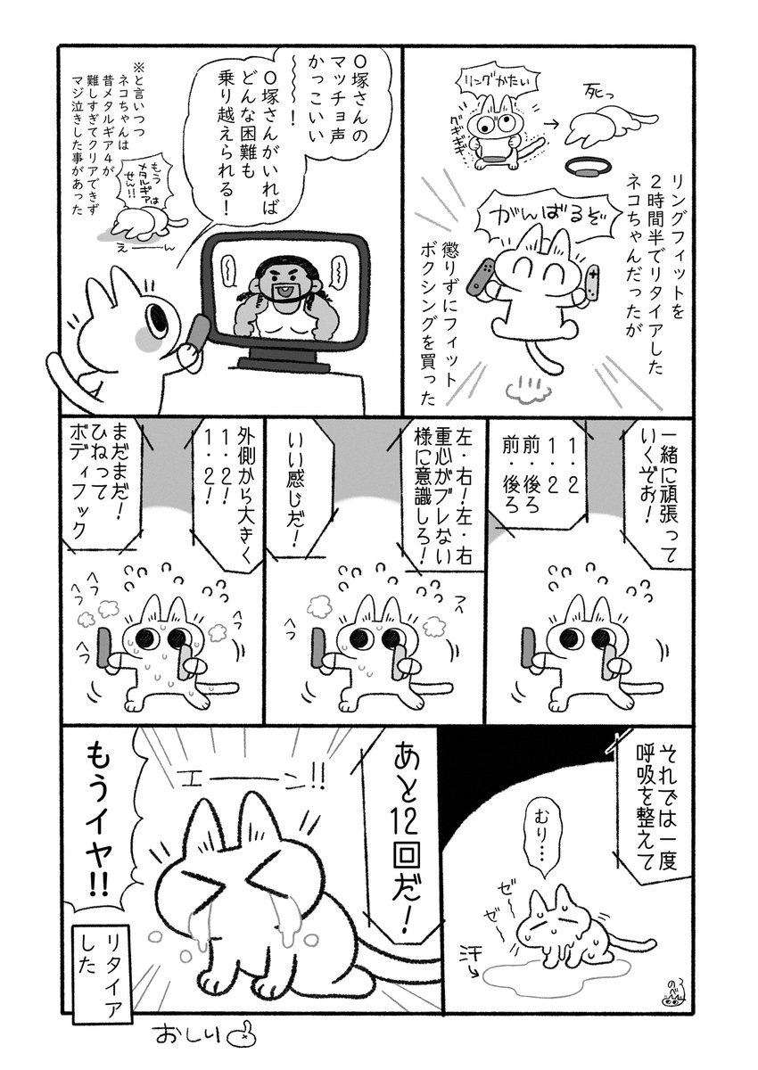 フィット〇クシングプレイ日記です #ネコちゃんで日記 