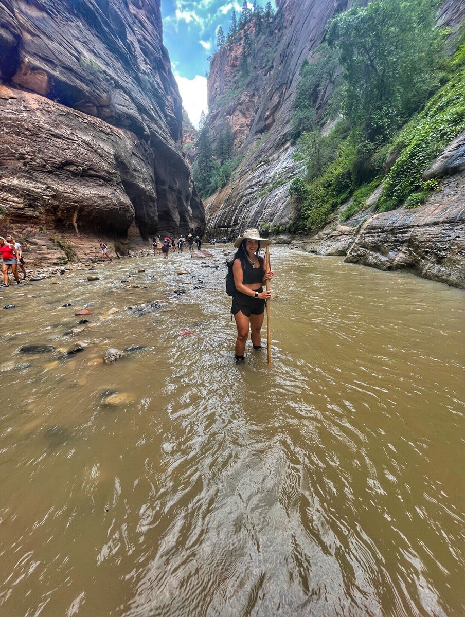 Sarah Thamer tweet media