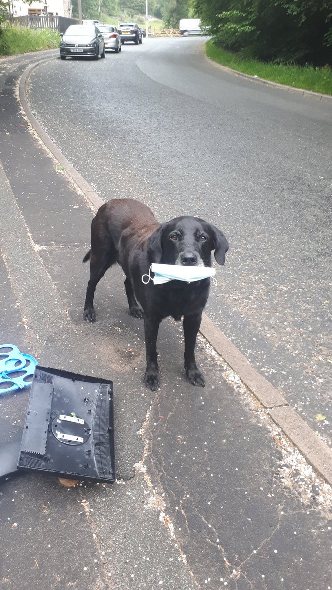 Keep Darwen Tidy π (@darwentidy) on Twitter photo The litter item of 2021 π€¬
Shame when a dog has better behaviour than lots of human
<a href="/pawsonplastic/">Paws On Plastic #pawsonplastic</a> The litter item of 2021 π€¬
Shame when a dog has better behaviour than lots of human
<a href="/pawsonplastic/">Paws On Plastic #pawsonplastic</a>