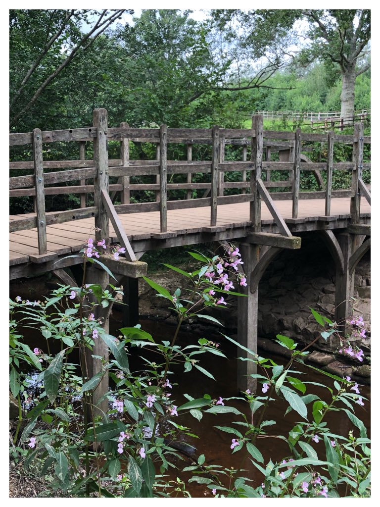 ElectricalJuice's tweet image. Cheeky little trip to the @Ashdown_Forest in #EastSussex with the family to visit Pooh Bridge

Ive driven past this place countless times but have been far to busy to stop, not today though #TimeStopsForNoMan 👊