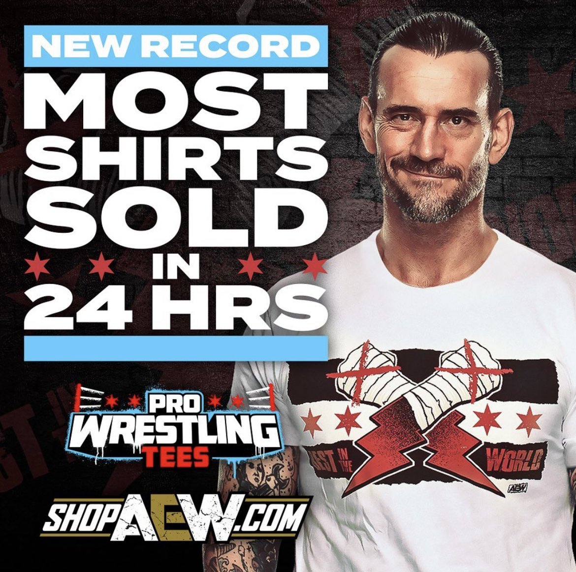 Pro Wrestling Tees Best In The World Cmpunk Aew Pro Wrestling Tees Best In The World Cmpunk Aew