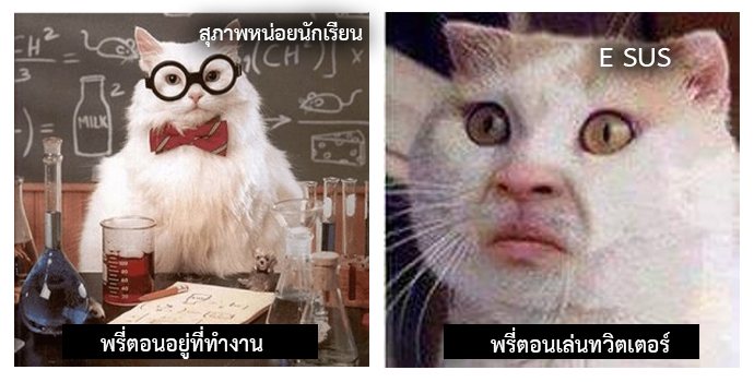 ก่อนที่ทวิตจะเละเทะไปกว่านี้...พรี่เปิดพื้นที่ให้ถามคำถามได้เลยคนละคำถาม เนื่องจากพรี่ยังจำเป็นต้องดำรงตำแหน่ง ผ.อ.ฮอกวอตส์ ที่บ้านแฮร์รี่พอตเตอร์อยู่ ขอให้หลีกเลี่ยงคำถามที่เกี่ยวกับข้อมูลส่วนบุคคล..ถ้าอยากรู้จักกัน นี่เป็นจุดเริ่มต้นเลย..เชิญครับ