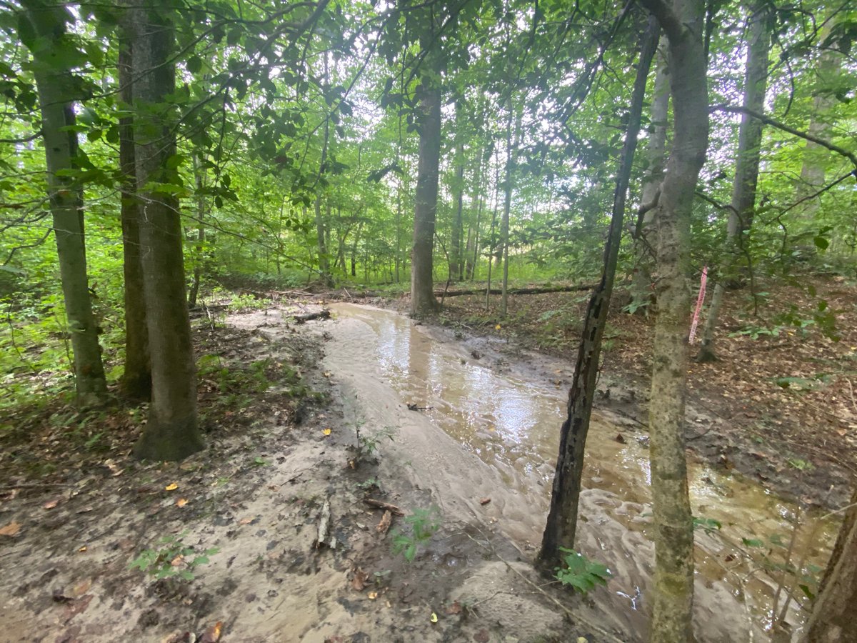 Jeff_Rew's tweet photo. We built a new house and moved down to western New Kent County from Henrico a few weeks ago. I’ve got a longer commute to my three schools in the city now but I also have a creek in my back yard and a half mile of woods beyond my back door. The trade off was worth it. https://t.co/I9Kigkj0Ay