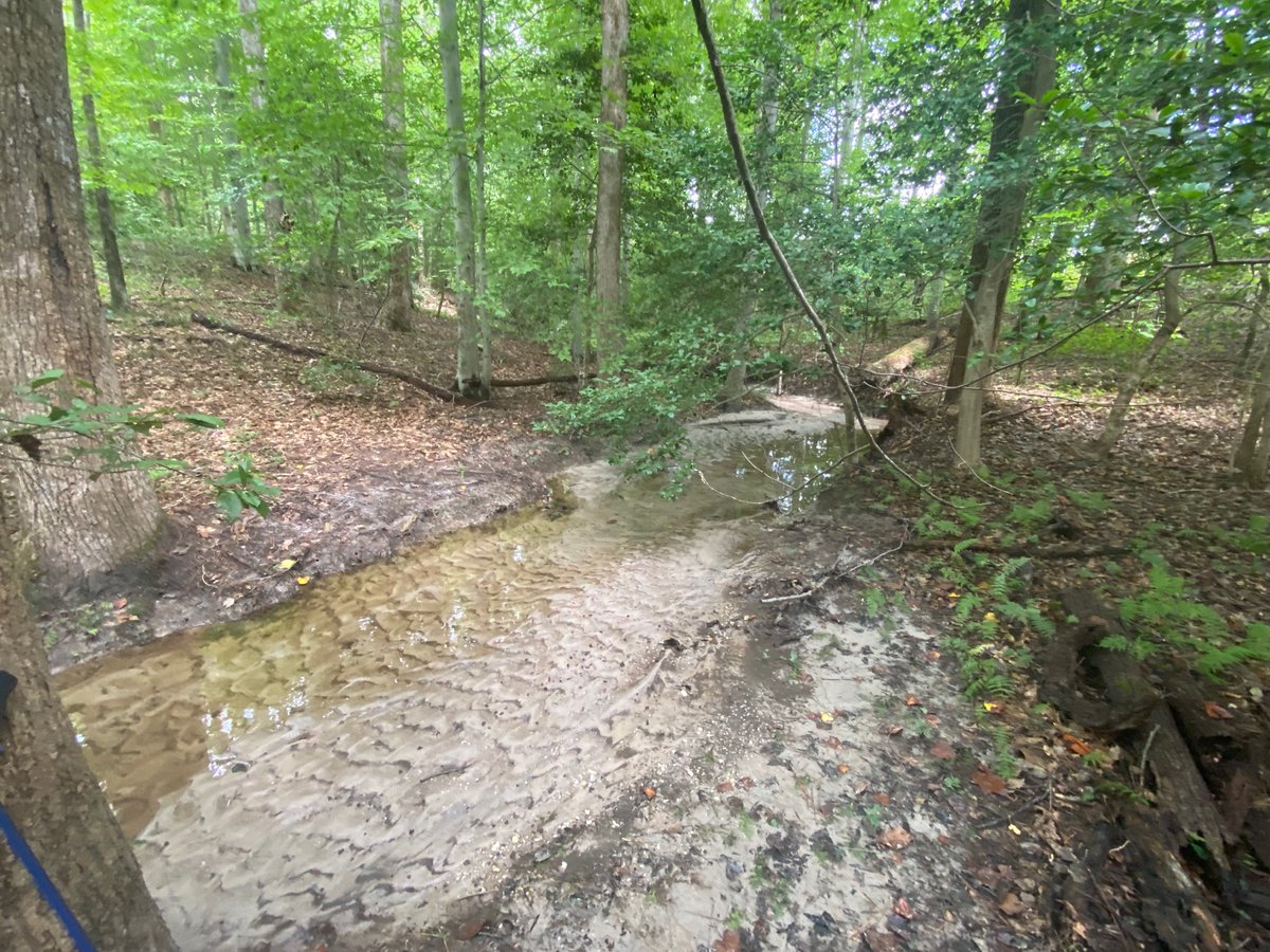Jeff_Rew's tweet photo. We built a new house and moved down to western New Kent County from Henrico a few weeks ago. I’ve got a longer commute to my three schools in the city now but I also have a creek in my back yard and a half mile of woods beyond my back door. The trade off was worth it. https://t.co/I9Kigkj0Ay
