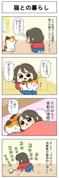 『ふうらい日和』猫との暮らし│フェリシモ猫部 https://t.co/3QEQ5jFmdw 