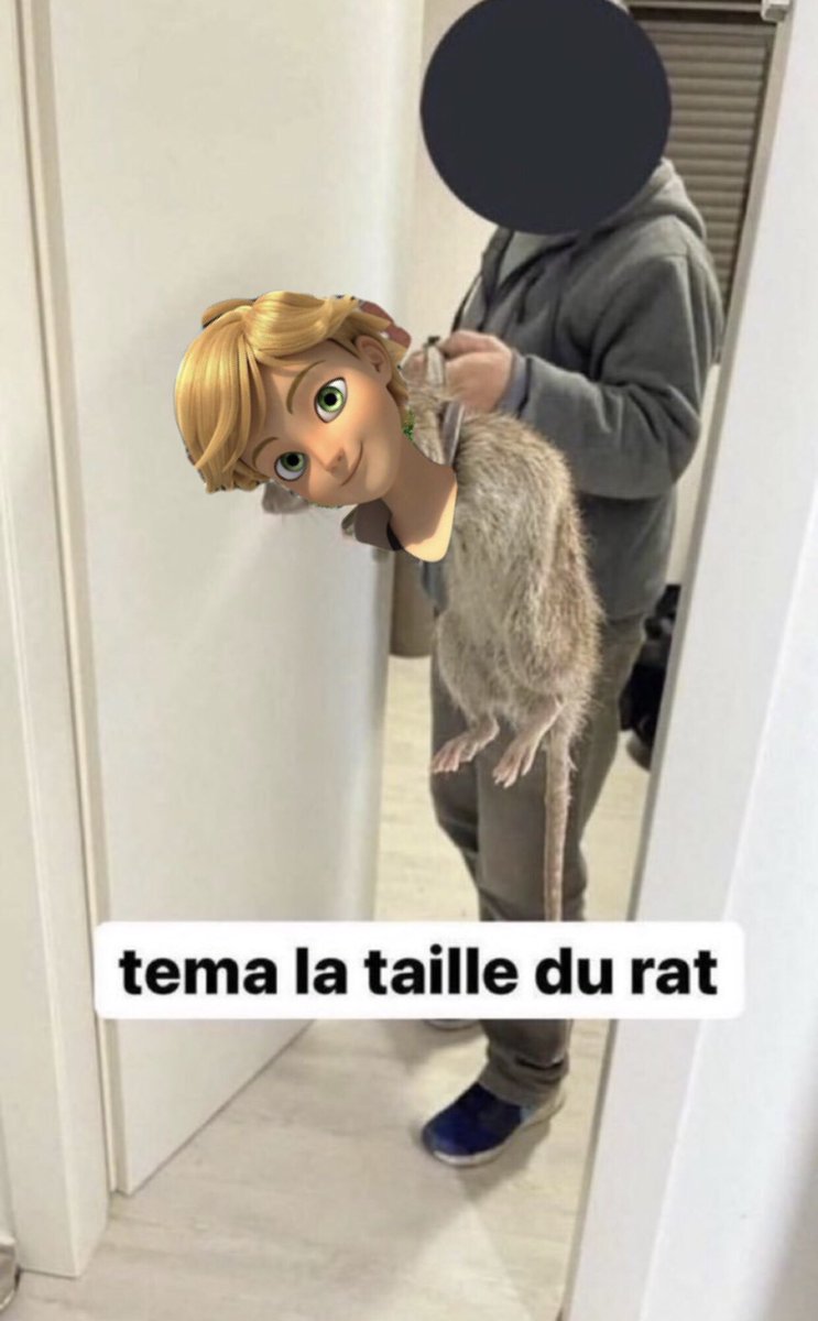 Marinette Dupain-Cheng tweet media