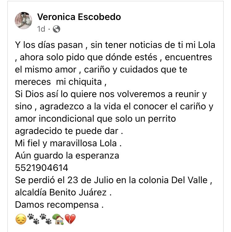 tunita.mx (@mxtunita) on Twitter photo Ayudemos a encontrar a Lola, compartan, alguien la pudo haber visto o tenerla y no saber que la buscan con tanto amor #CDMX #buscamosalola <a href="/MascotasSismo/">Mascotas Sismo</a> <a href="/ReTuitCanino/">#AdoptaNoCompres</a> <a href="/_PatriciaAnaya/">Amo a los Perros</a> <a href="/EricasanchezSu/">Sánchez</a> <a href="/notienenvoz/">Por los que no tienen voz</a> <a href="/LordGatus/">Lord Gatus</a> <a href="/Apoyo_Croqueton/">Apoyo Croquetón</a> <a href="/SOSsalchichas/">Salchibukis …🆘 salchichas al rescate</a> <a href="/Unidos_Buscando/">¡Ayúdanos a encontrarlos!</a> RTXFA Ayudemos a encontrar a Lola, compartan, alguien la pudo haber visto o tenerla y no saber que la buscan con tanto amor #CDMX #buscamosalola <a href="/MascotasSismo/">Mascotas Sismo</a> <a href="/ReTuitCanino/">#AdoptaNoCompres</a> <a href="/_PatriciaAnaya/">Amo a los Perros</a> <a href="/EricasanchezSu/">Sánchez</a> <a href="/notienenvoz/">Por los que no tienen voz</a> <a href="/LordGatus/">Lord Gatus</a> <a href="/Apoyo_Croqueton/">Apoyo Croquetón</a> <a href="/SOSsalchichas/">Salchibukis …🆘 salchichas al rescate</a> <a href="/Unidos_Buscando/">¡Ayúdanos a encontrarlos!</a> RTXFA