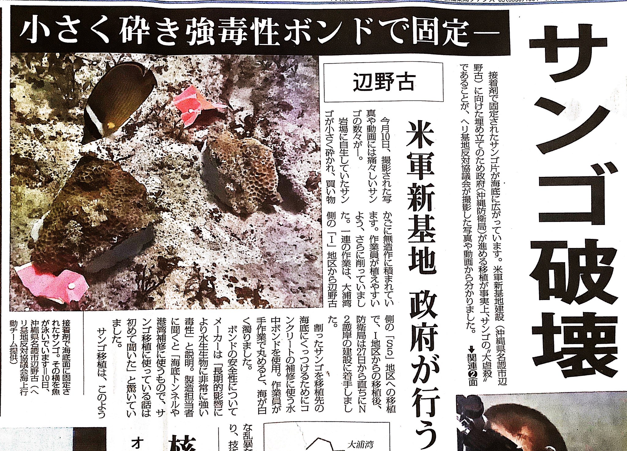 有田芳生 辺野古新基地を建設するために政府がサンゴ の移植を強行している どうやって移殖するのかとかねがね疑問だった ヘリ基地反対協議会が撮影した写真や動画で 自生していたサンゴ が砕かれ 買い物かごに積まれ 海底では強毒性ボンドで固定されて