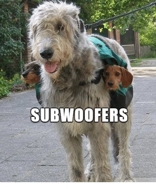 You have pair of Subwoofers in your Car💗 #SignsYoureASub