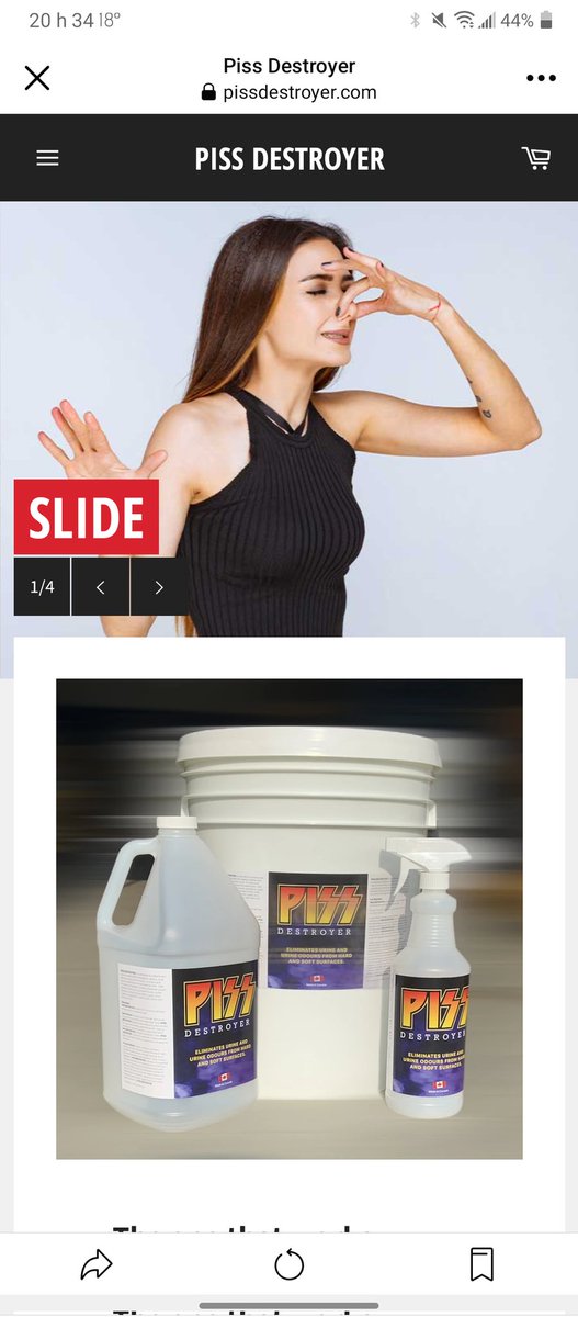 Monarchy tweet media