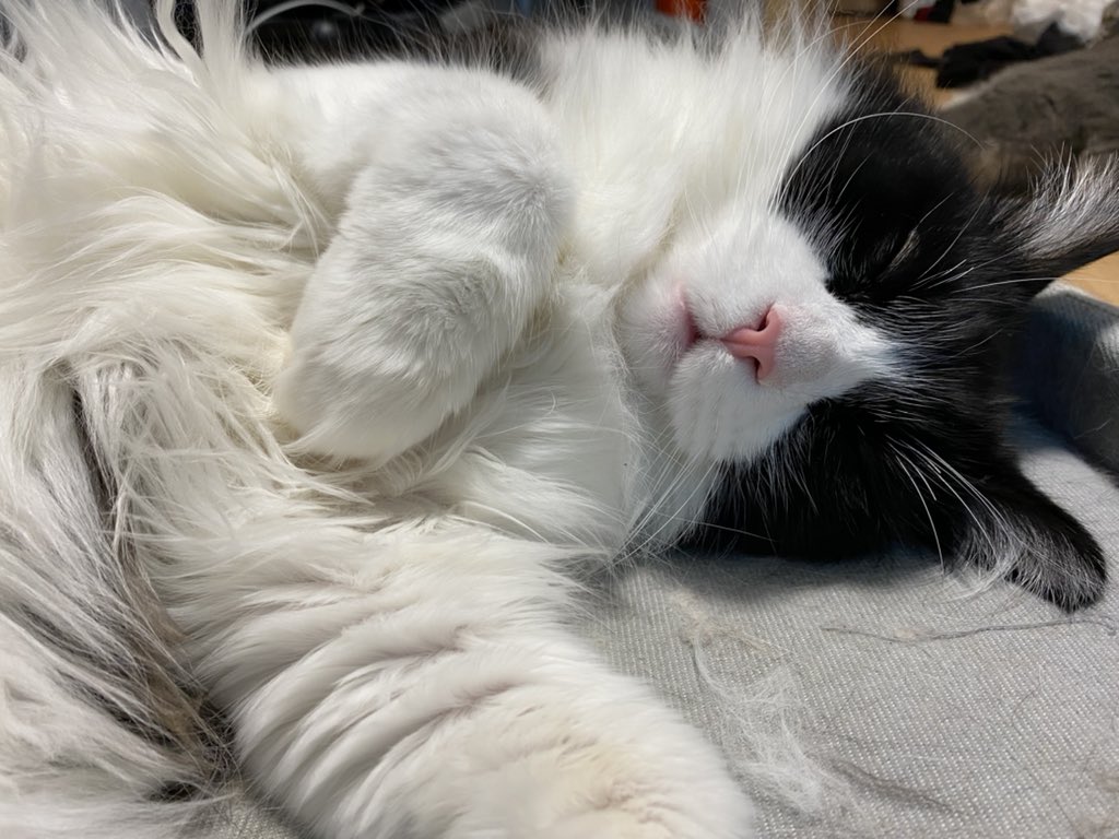 おはようございます