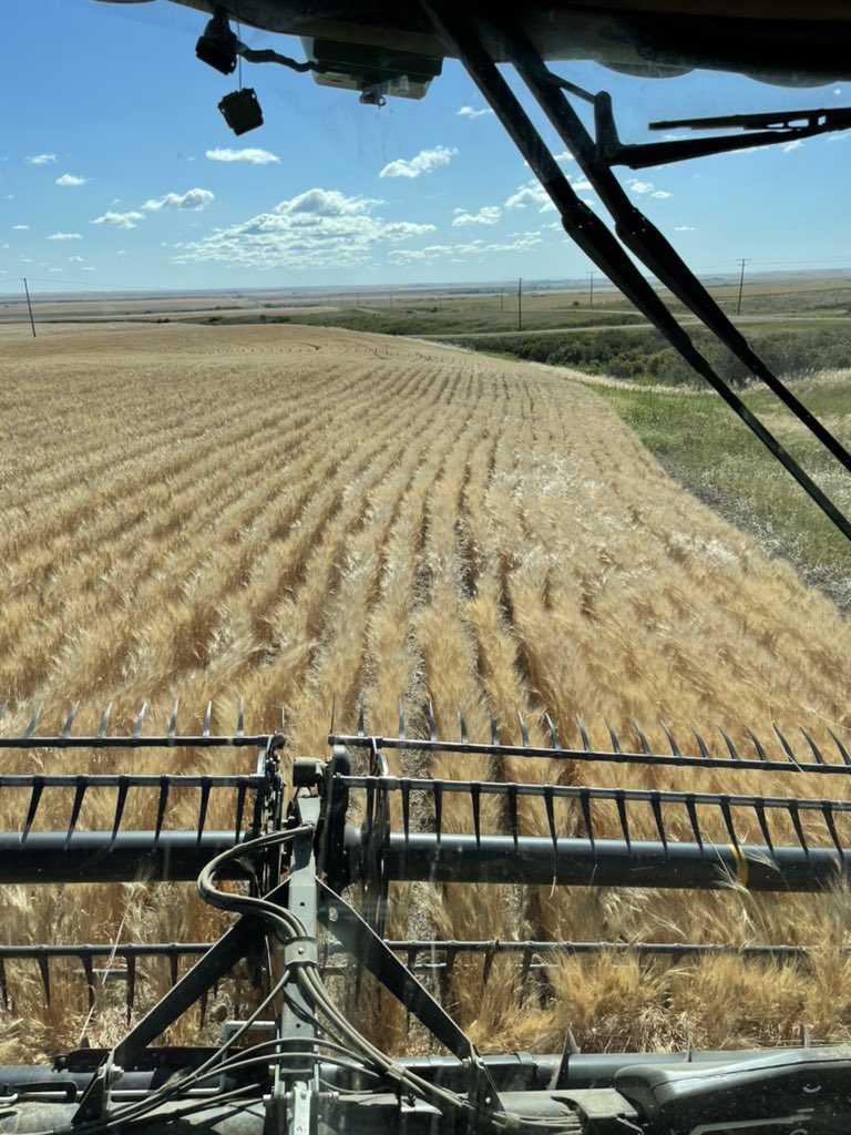 First harvest since purchasing homestead quarter. This dirt has only every been in one name and my late grandpa was born right here. Saying this means a lot is a understatement.