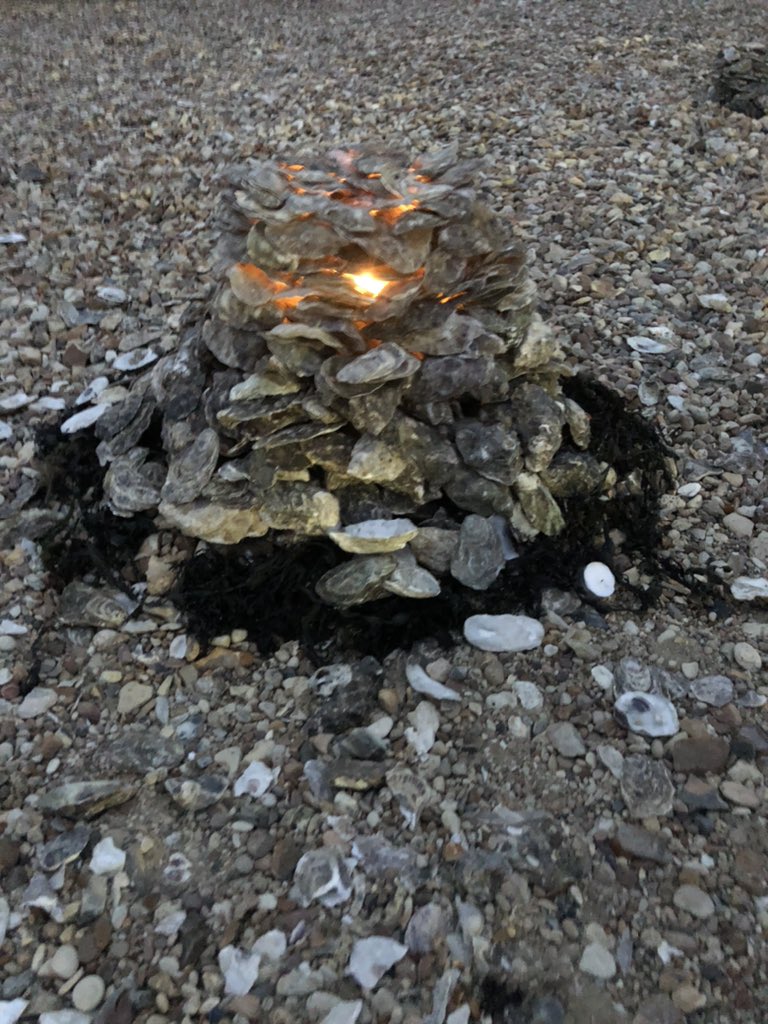 Some lovely Grotters at Horsebridge beach today, some Grotters even managed to survive the harsh wind and stay alight! Thank you everyone for coming out and spending time building them, it was wonderful end to the second day of the Whitstable Oyster Festival 🦪✨