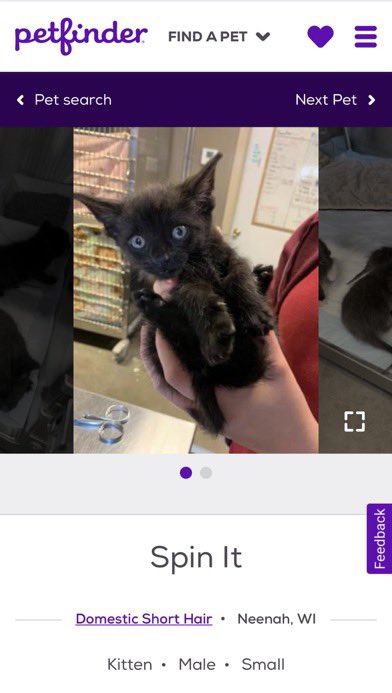 petfindernames's tweet photo. nice https://t.co/3ahn0YUmYH