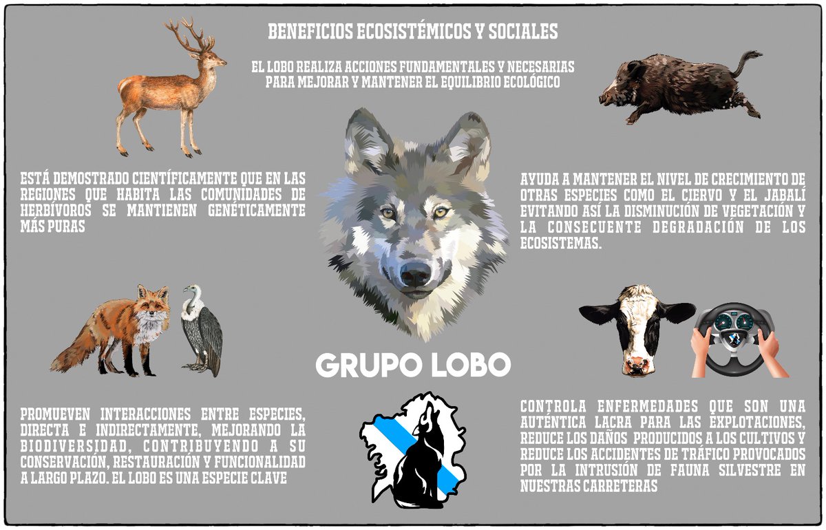 Grupo Lobo (@galicialobo) / Twitter