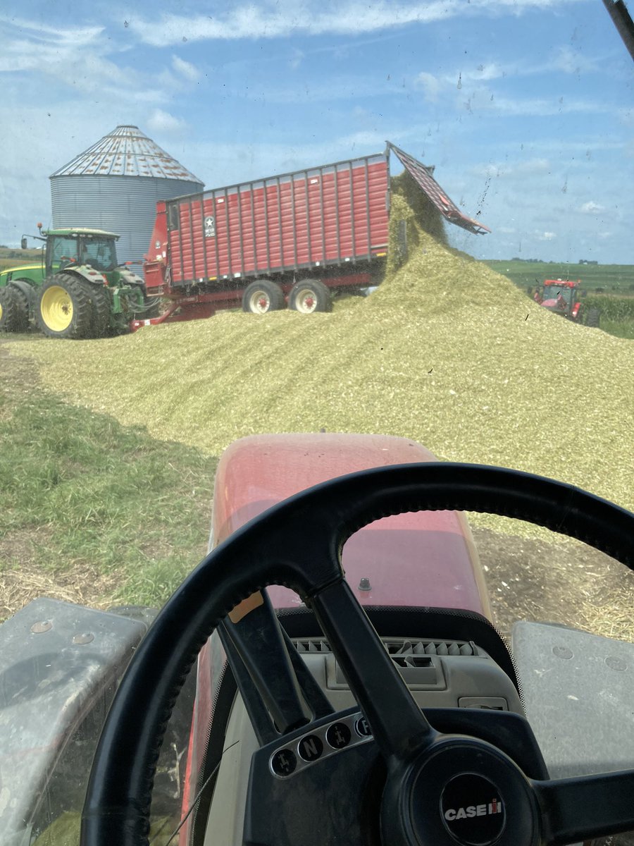 Sunday funday making chow with some <a href="/PioneerSeeds/">Pioneer Seeds U.S.</a> 1366