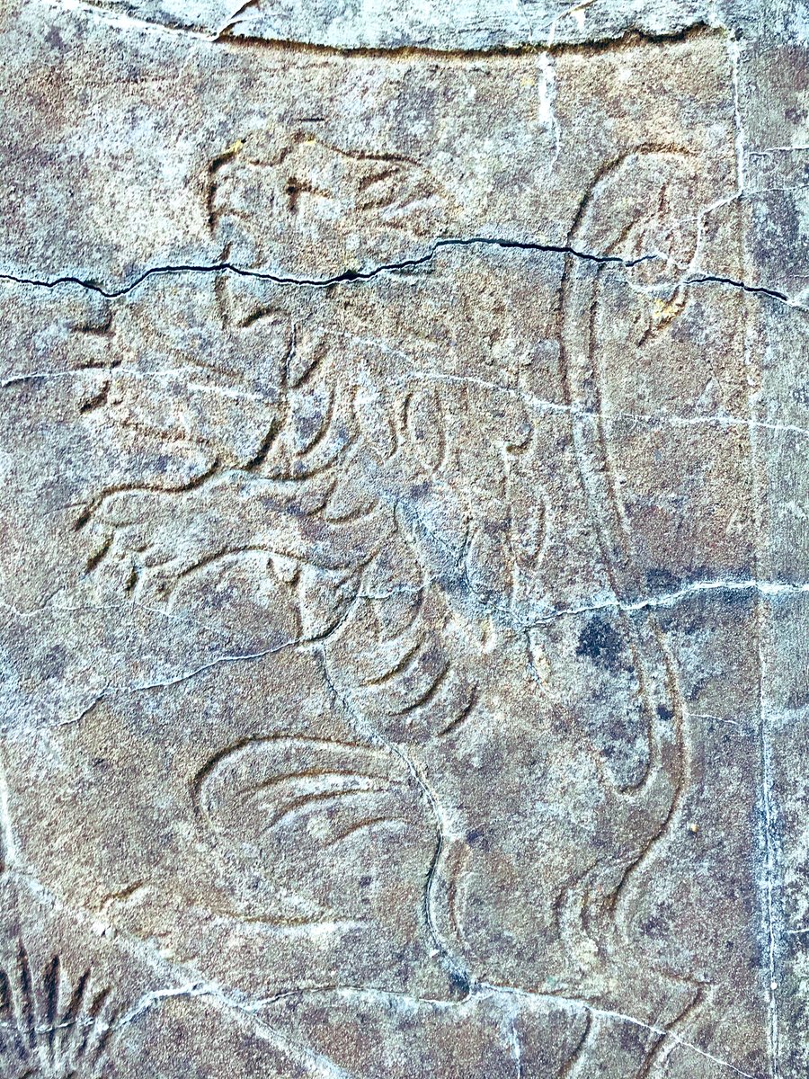 C_MAlexander's tweet photo. Years since I’ve been along #Polish Camp Road at #Tentsmuir, but during an epic bike ride today, I was pleased to rediscover the old ruins - including this Polish eagle, Lion Rampant and Thistle etched on the crumbling casing of an old well. #SecondWorldWar #Poland #Scotland https://t.co/neDCoo9YJm