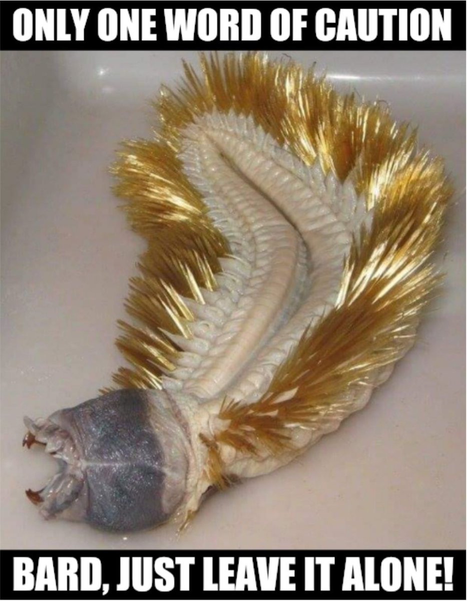 Bards have no business befriending this creature!